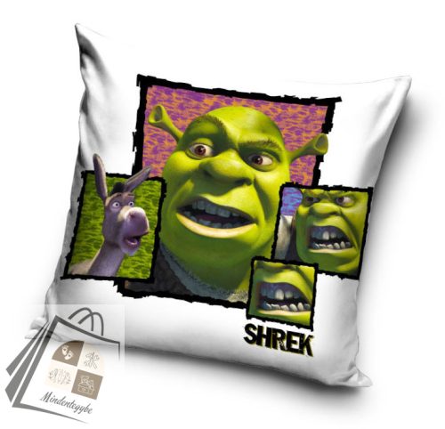 Shrek Fury párnahuzat 40x40 cm Velúr