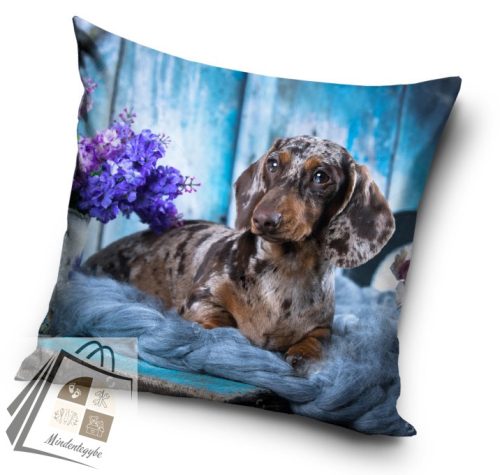 Kutyás Dachshund párnahuzat 40x40 cm