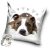 Kutyás Pit Bull Terrier Cute párnahuzat 40x40 cm