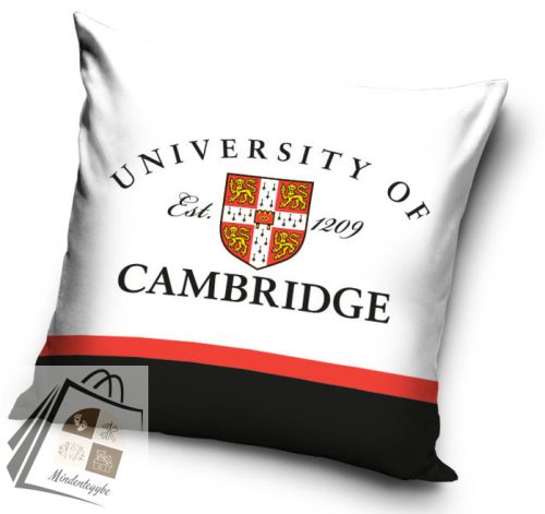 Cambridge University párnahuzat 40x40 cm