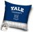 Yale University párnahuzat 40x40 cm