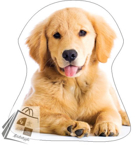 Kutyás Golden Retriver formapárna, díszpárna 35x35 cm