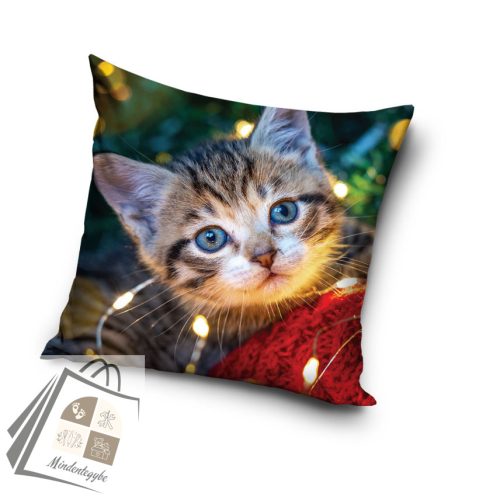 Cicás Cozy Lights párnahuzat 40x40 cm Velúr