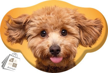 Kutyás Toy Poodle formapárna, díszpárna  28x40 cm Velúr