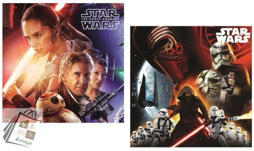 Star Wars The Force Awakens párnahuzat 40x40 cm