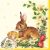 Húsvét Egg & Hare szalvéta 20 db-os 33x33 cm