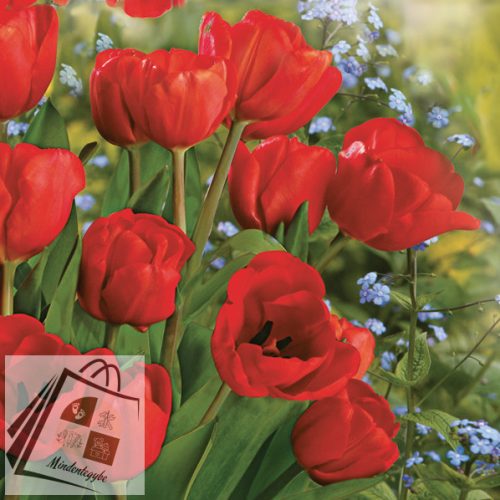 Tulipán Bunch szalvéta 20 db-os 33x33 cm