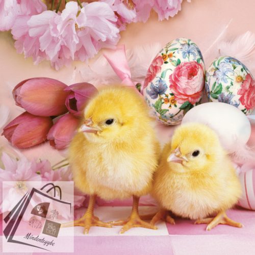Húsvét Lovely Chickens szalvéta 20 db-os 33x33 cm