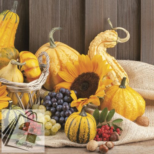 Ősz Fruits szalvéta 20 db-os 33x33 cm