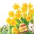 Húsvét Bunch of Daffodils szalvéta 20 db-os 25x25 cm